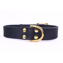 ZOOLESZCZ Ошейник для собак "Exclusive Gold", черный