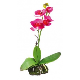 LUCKY REPTILE Декоративное растение "Orchid pink"