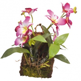 LUCKY REPTILE Декоративное растение "Hanging Orchid", розовое