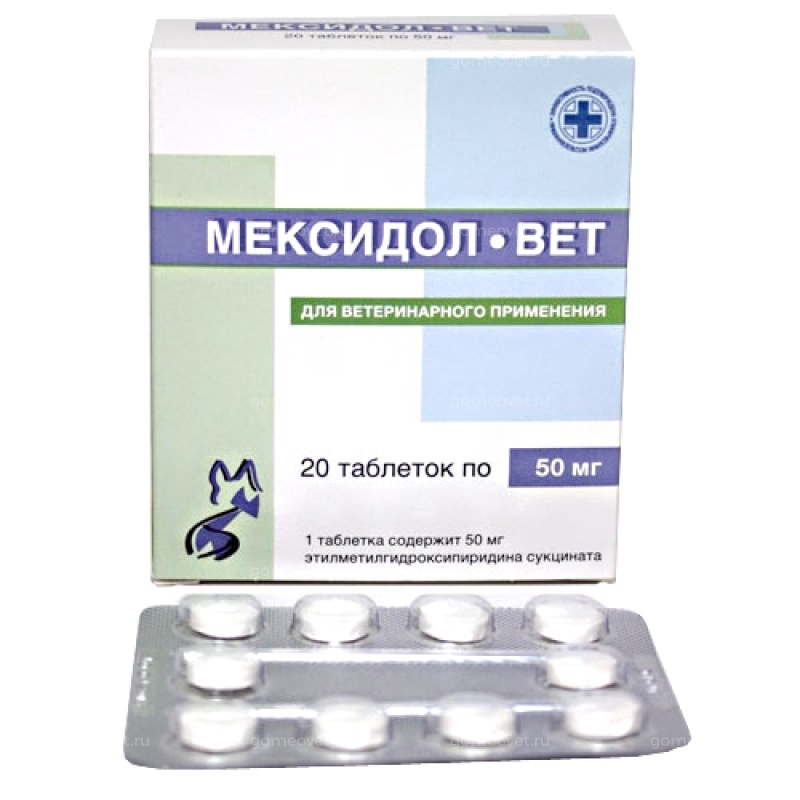 Мексидол-вет 50 мг (Фармасофт), уп. 20 таб. купить в зоомагазине в ...