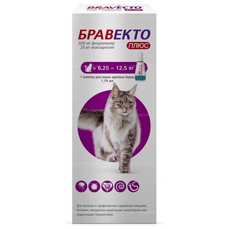 Бравекто Плюс капли на холку для кошек от 6,25 до 12,5 кг, 500 мг (1 ...