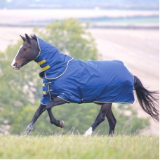SHIRES TEMPEST Попона прогулочная для лошади с отстегным капором "Original", 600D, 300g, синий