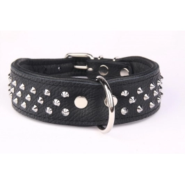ZOOLESZCZ Ошейник для собак "Studs", черный