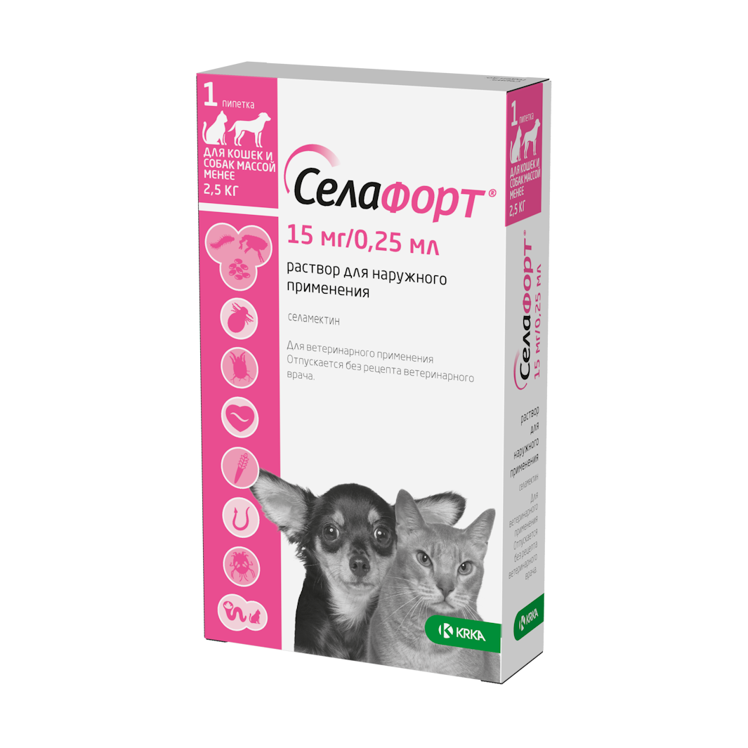 Зоофилка блог 