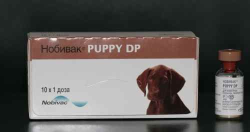 Вакцина Нобивак Puppy DP для щенков купить в Москве