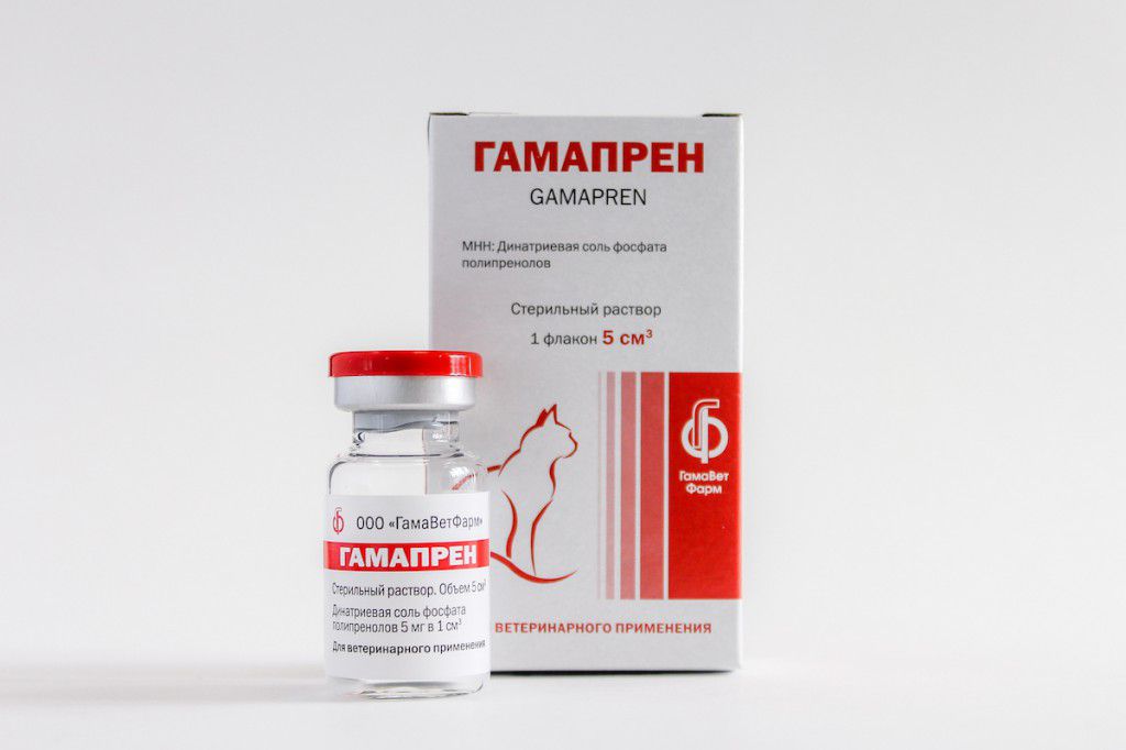 Противовирусные для кошек препараты