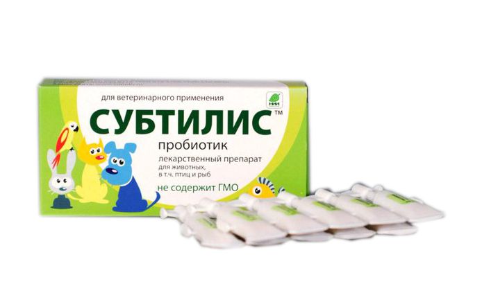 Пробиотики для кошек